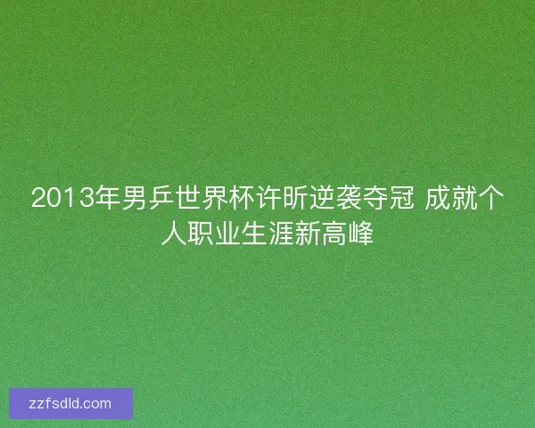 2013年男乒世界杯许昕逆袭夺冠 成就个人职业生涯新高峰