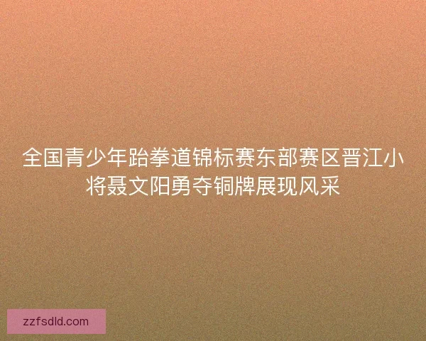 全国青少年跆拳道锦标赛东部赛区晋江小将聂文阳勇夺铜牌展现风采