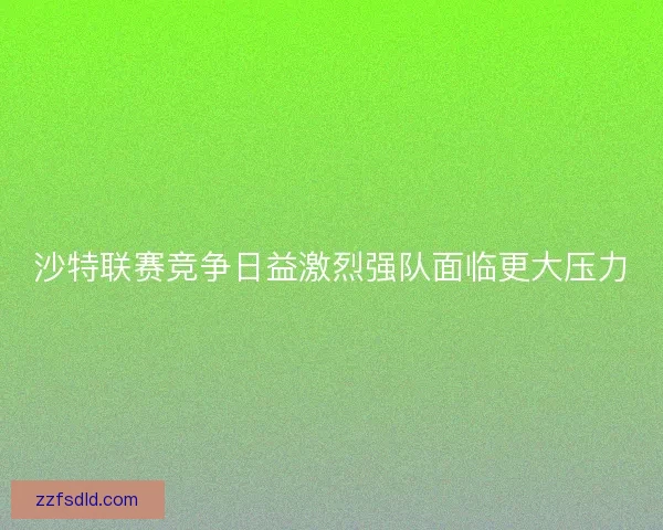 沙特联赛竞争日益激烈强队面临更大压力