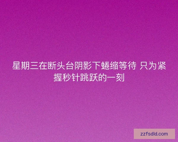 星期三在断头台阴影下蜷缩等待 只为紧握秒针跳跃的一刻